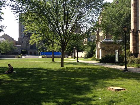 Cross Campus Elm — Yale Bowls