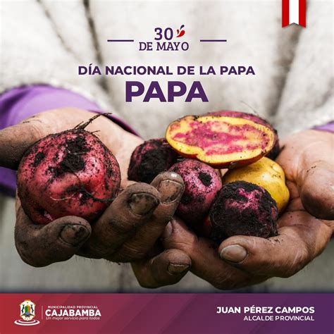 D A Nacional De La Papa Campa As Municipalidad Provincial Cajabamba