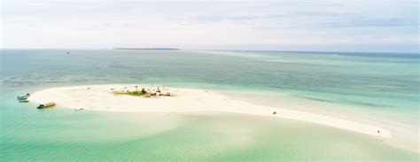 Tour Derawan Happy Fun Trip Trip Derawan Labuan Cermin Whale Shark