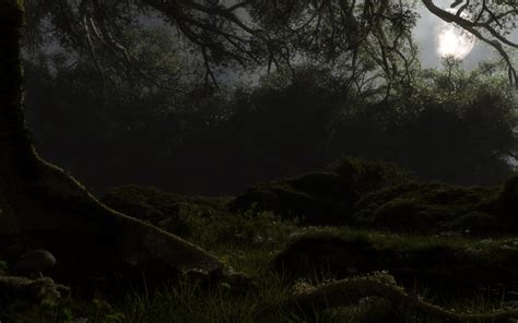 Misty forest night by Klontak on DeviantArt