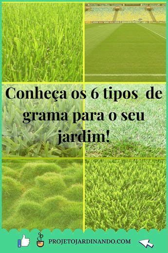 Gramados Perfeitos Guia Completo Projeto Jardinando Trong