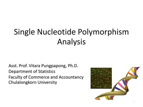 Single Nucleotide Polymorphism Analysis Snps Ppt Free Download