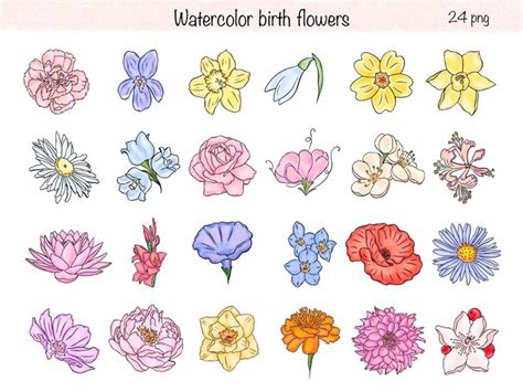 Watercolor Birth Month Flowers Clipart Birth Flowers Png Floral