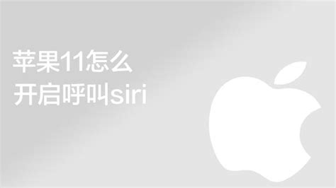 苹果siri语音助手怎么设置唤醒语 百度经验