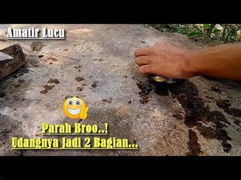 Seruu Mencari Udang Disungai Kecil YouTube