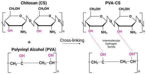 Marine Drugs Free Full Text Polyvinyl Alcohol Chitosan Scaffold For