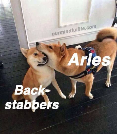 26 Hilarious Aries Memes That Are Basically Aries Facts Aries Funny