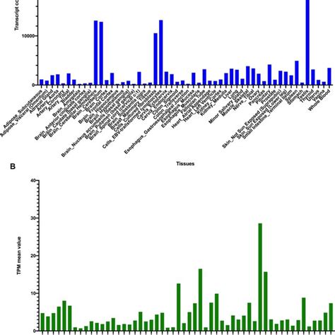 Tissue Expression Distribution Of Distinctive Tissue Expression