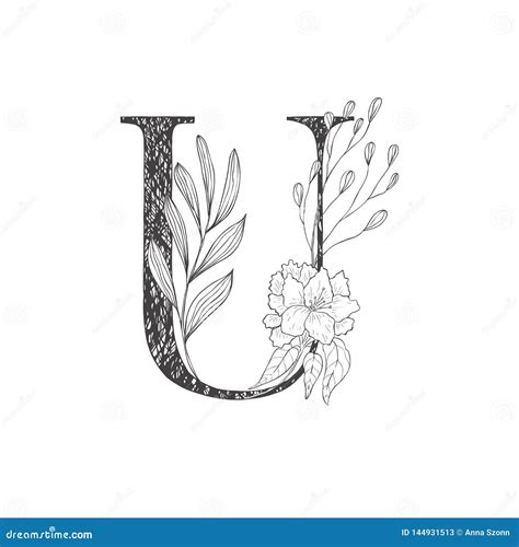 Floral Botanical Alphabet Letter With Plants And Flowers Stock Vector