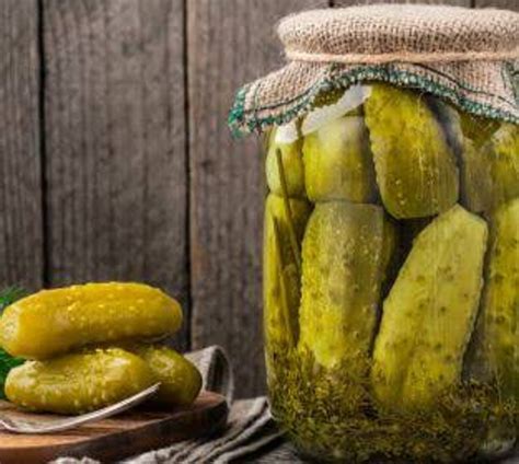 Pickled Gherkins Organic Fresh Natural Brine Etsy