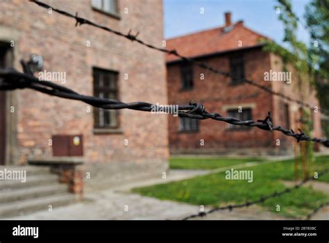 AUSCHWITZ POLONIA Alambre de púas que rodea los edificios de ladrillo