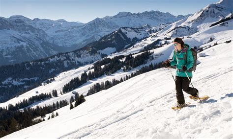 18 Morgins Foilleuse Strecke Morgins Region Dents Du Midi