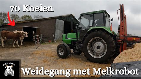 Koeien Weiden Met Melkrobot Youtube