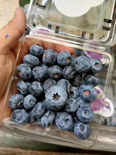 A Grade Blueberries Fresh Fruit Packaging Type Plastic Punnets