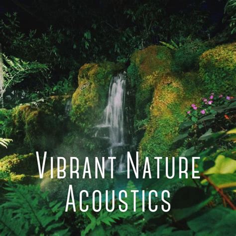 Vibrant Nature Acoustics Album By Massagely Musicton Ultimate Spa