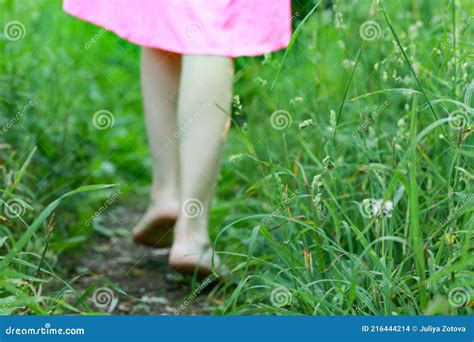 Les Jambes Dune Fille Marchent Pieds Nus Le Long Dun Chemin Dans La