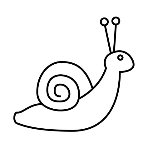 Dibujo De Caracol Para Colorear E Imprimir Dibujos Y Colores Nbkomputer