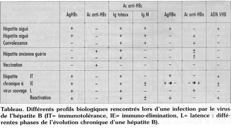 Biologie De L H Patite B Devsante Org