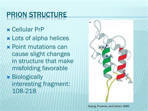 PPT Kinetics Of The Prion Protein Structure Misfolding Disease