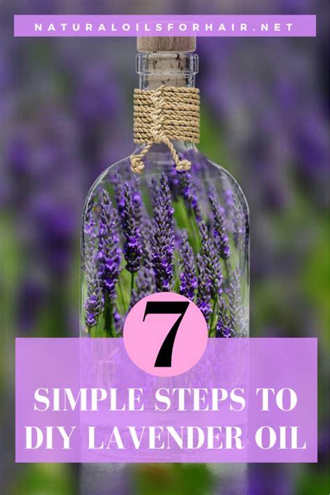 How To Diy Lavender Oil In 7 Simple Steps Natural Oils For Hair And Beauty