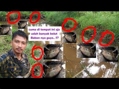 Mancing Belut Babon Di Ramadhan Penuh Berkah The Eels Fishing In