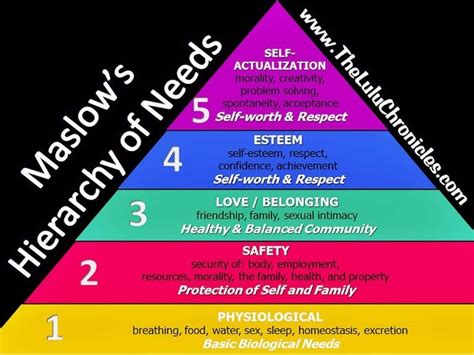 Maslows - Physiological Needs