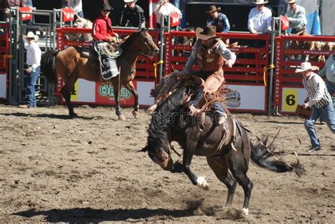 Cowboy Der Das Wilde Pferd Reitet Redaktionelles Stockbild Bild Von