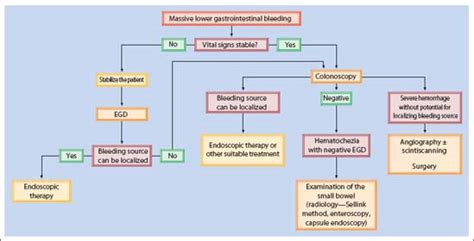 Acute And Chronic Lower Gastrointestinal Bleeding Abdominal Key