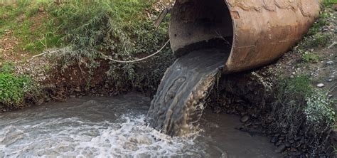 Falta De Coleta E Tratamento De Esgoto Atinge Cerca De Milh Es De