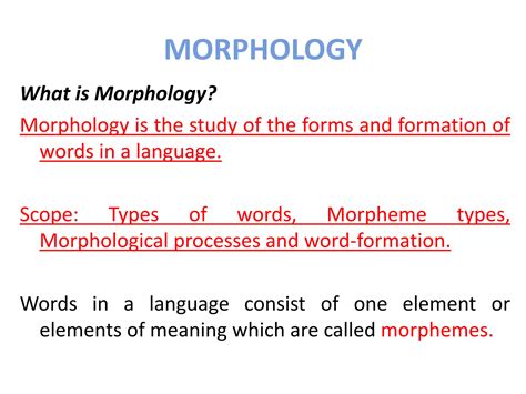 Morphology introduction | PPT