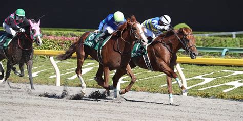 【ユニコーンステークス2022予想】コース解説・本命馬5選と穴馬5選 ｜ 3連単6点勝負！競馬で夢を叶える！3連単競馬予想に役立つ情報が満載です。