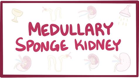 Medullary sponge kidney: Video, Anatomy & Definition | Osmosis