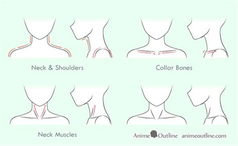 How To Draw Anime Neck And Shoulders Animeoutline Anime Drawings