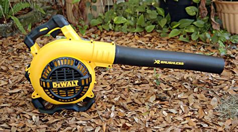 Dewalt Leaf Blowers Features Performance And Pricing Complete Guide