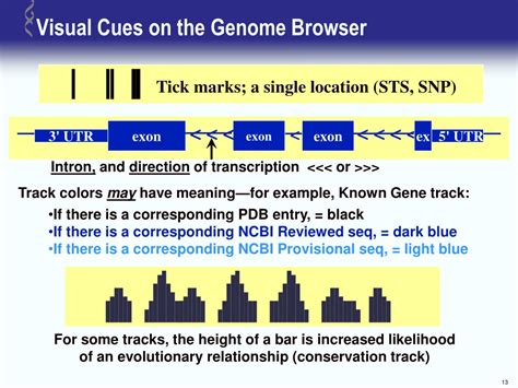 PPT UCSC Genome Browser Tutorial PowerPoint Presentation Free