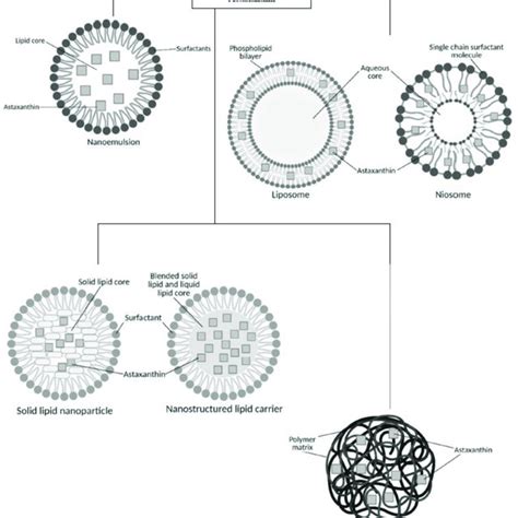 Schematics For Nano Delivery Systems Of Astaxanthin Download