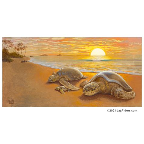 18+ Turtle Shell Paint - LauriAllesandro