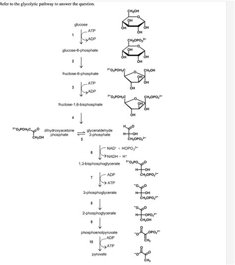 Solved Rϵidentify The Oxidation Reduction Reactions Of