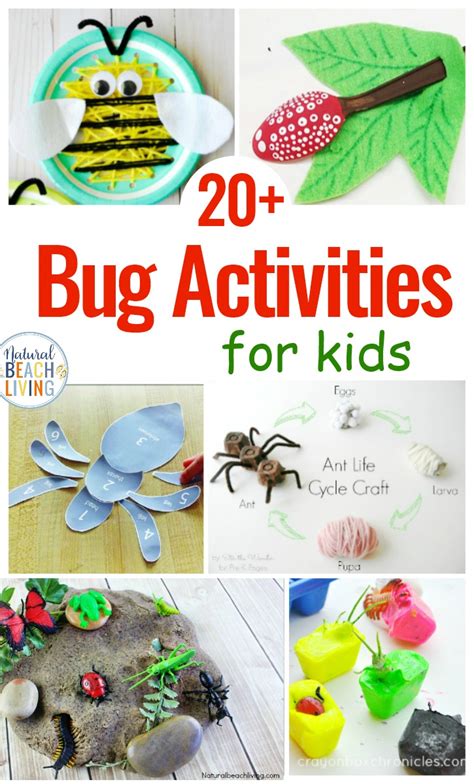 25 Bug Activities for Preschool - Natural Beach Living