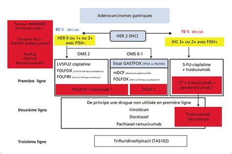 Jle H Pato Gastro Oncologie Digestive Immunoth Rapie Dans Les