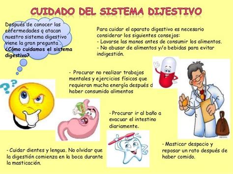 El Sistema Digestivo