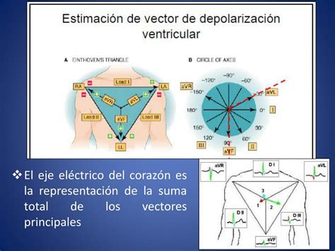 Ppt Curso De Electrocardiograf A Normal Powerpoint Presentation Free