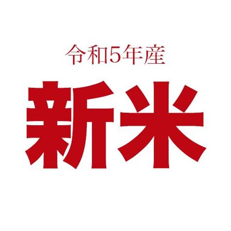 新米 米 10kg 5kg×2袋セット お米 ゆきひかり 北海道産 白米 令和5年産 送料無料 Yesyuki 2810ぎんしゃり屋