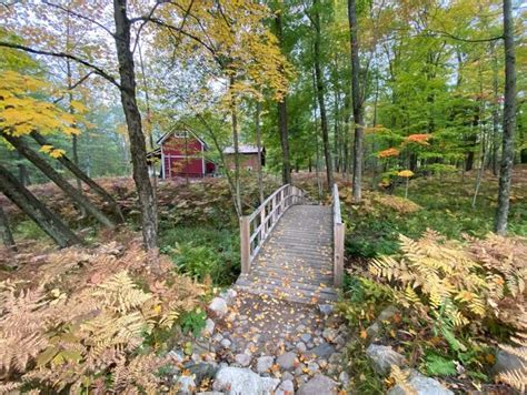 11 Cozy Pet-Friendly Cabin Rentals in Michigan - Territory Supply