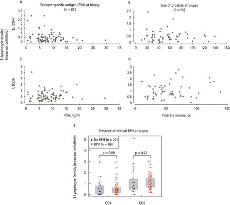 Baseline Characteristics And T Lymphocyte Density A C Correlation