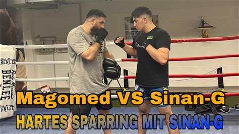 Magomed VS Sinan G Sparring MMA Kickboxen Boxing Sparring Mma