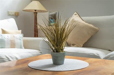 Premium Photo Plant Over A Brown Table With Sofas And A Lamp On The