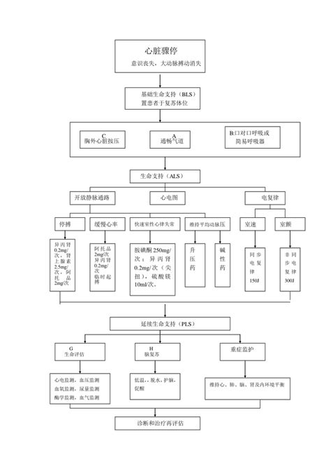 心脏骤停抢救流程图 文库吧