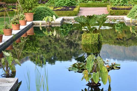 Fruitful Sunken Pond Reflections | Filoli