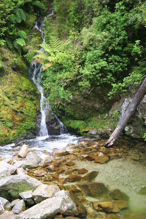 Wainui Falls - Largest Most Accessible Abel Tasman Waterfall